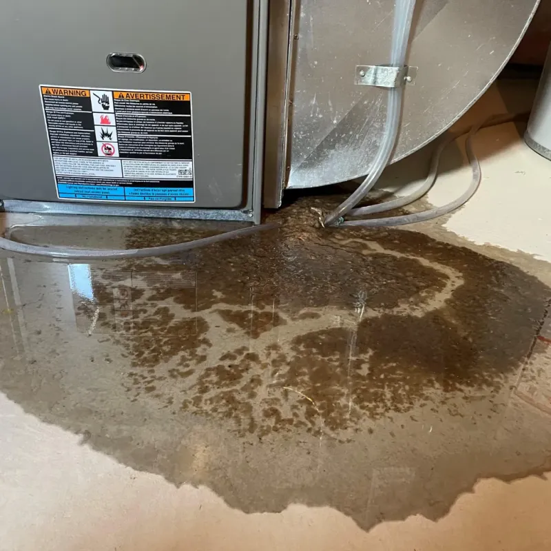 Appliance Leak Cleanup in McAlmont, AR